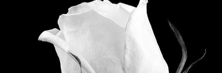 AzirahAzhar's profile banner image
