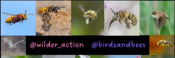 macro_action Profile Banner