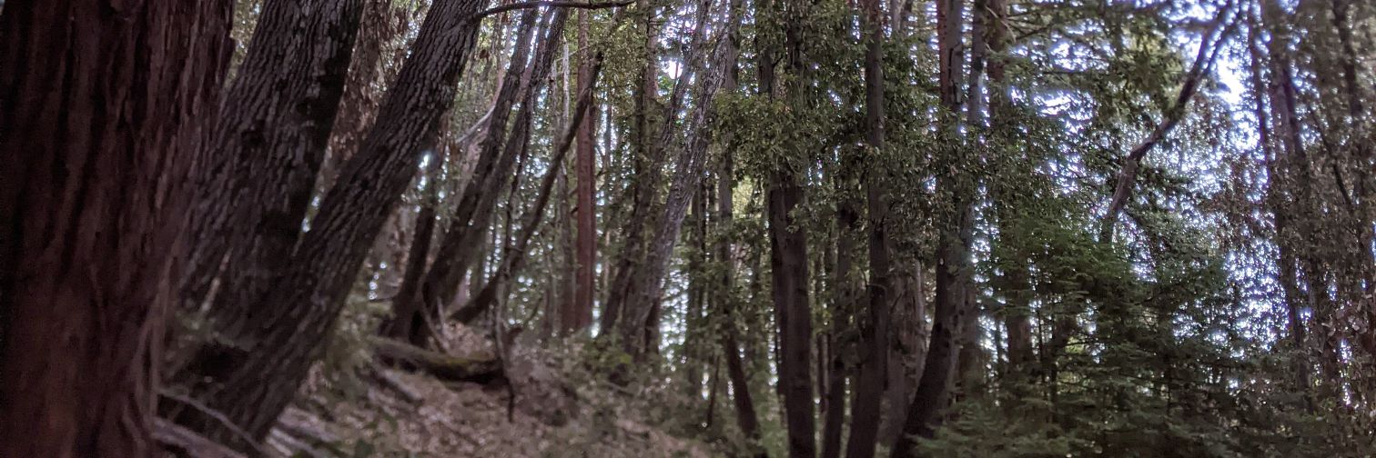 Evan Leonard banner