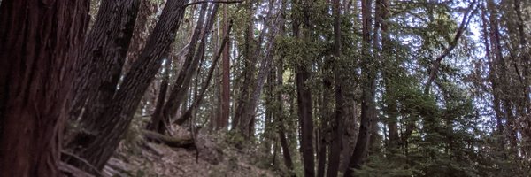 evanleonard Profile Banner