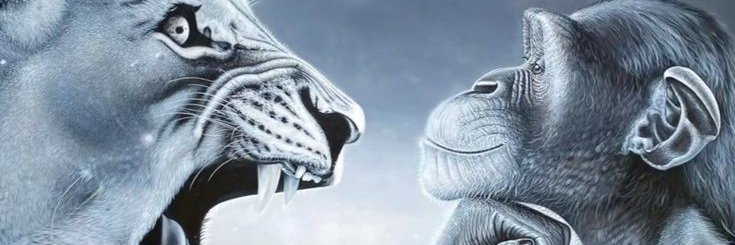 Burning Broom banner