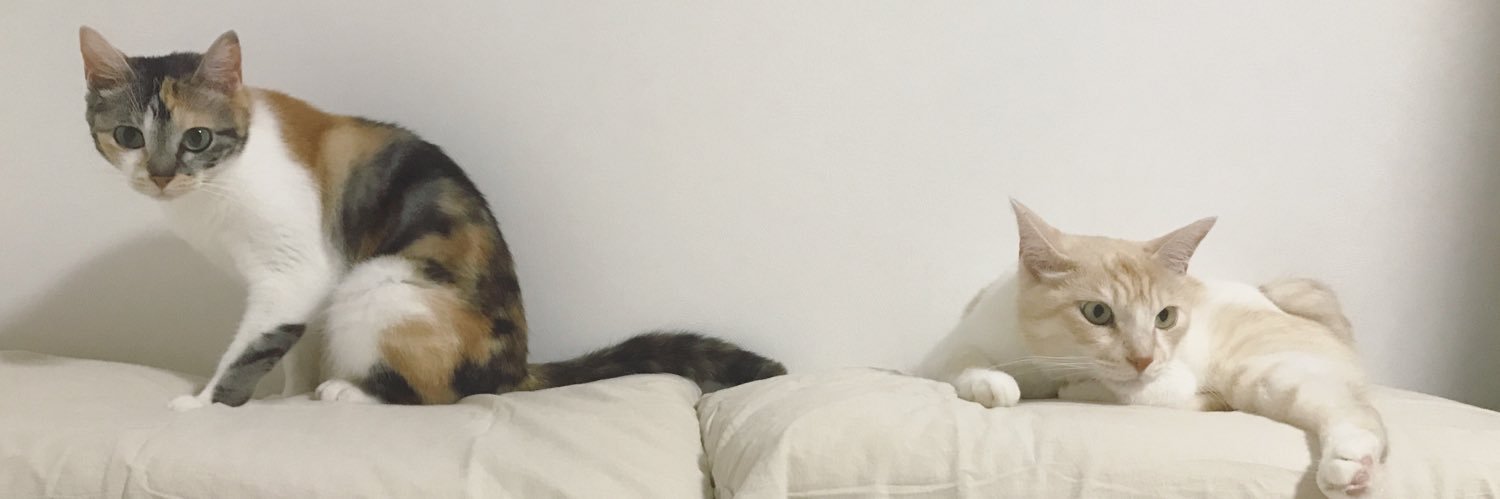 8mmum's profile banner image