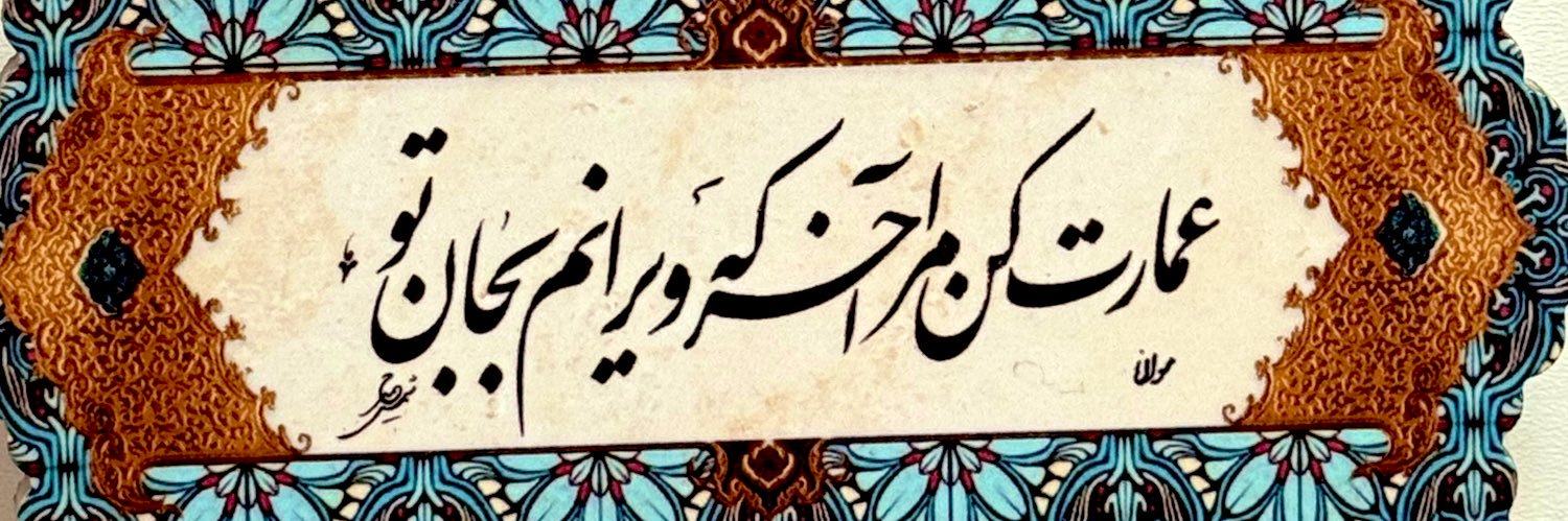 negin banner