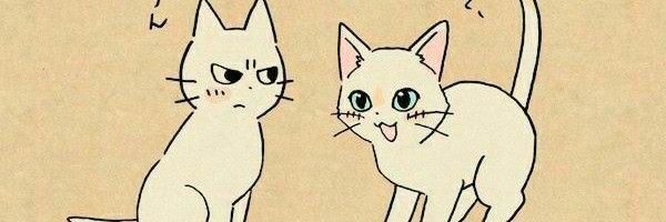 vana gap²⁵ banner