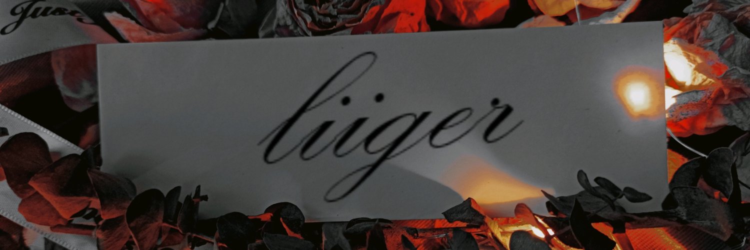 liiger3's profile banner image