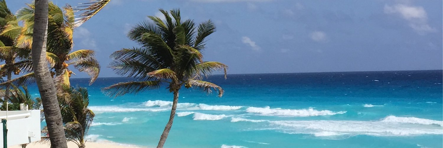 con_daine's profile banner image