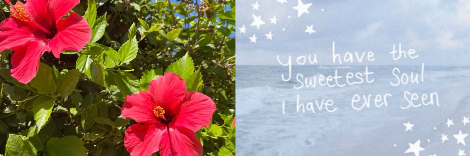 amanda pleakley 🌎💞🌺's banner