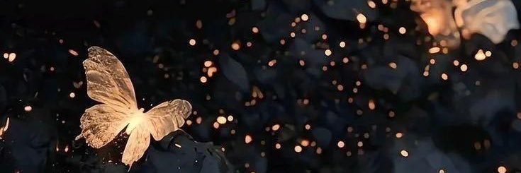 🐾's banner