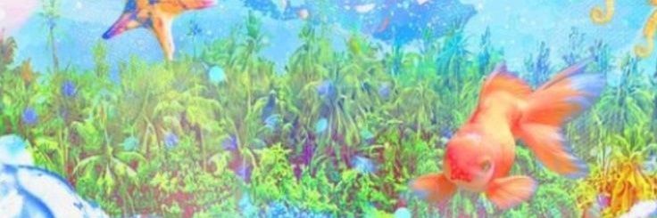 lix` 🐬 banner