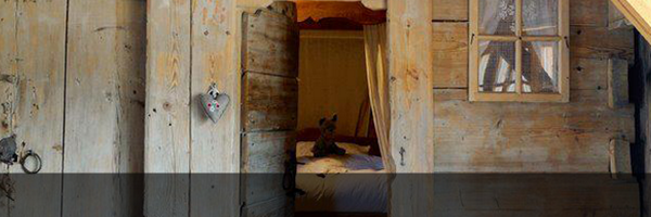 VacanzeAlpine Profile Banner