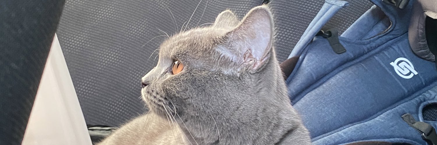 AHazwanmn's profile banner image