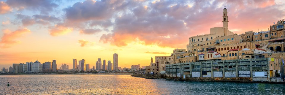 Guy Goldstein banner