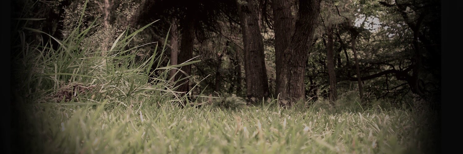 gavstretchy's profile banner image