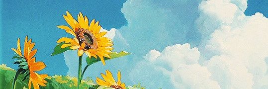 Morgan 🦋 banner
