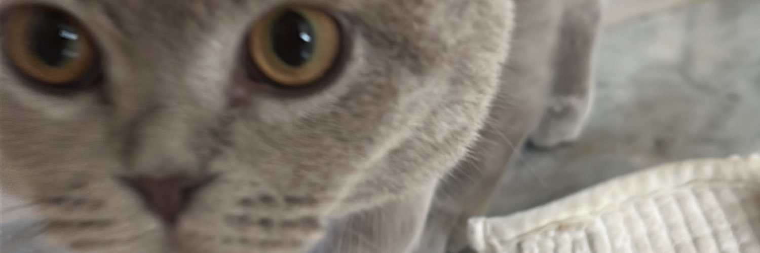 Laila__MA's profile banner image
