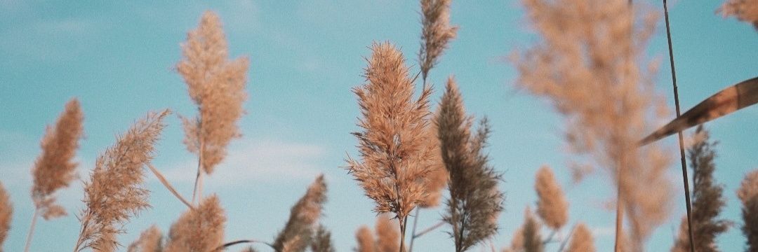 CamiArruza's profile banner image