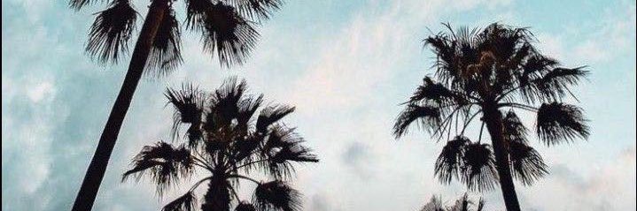 palomaacm's profile banner image