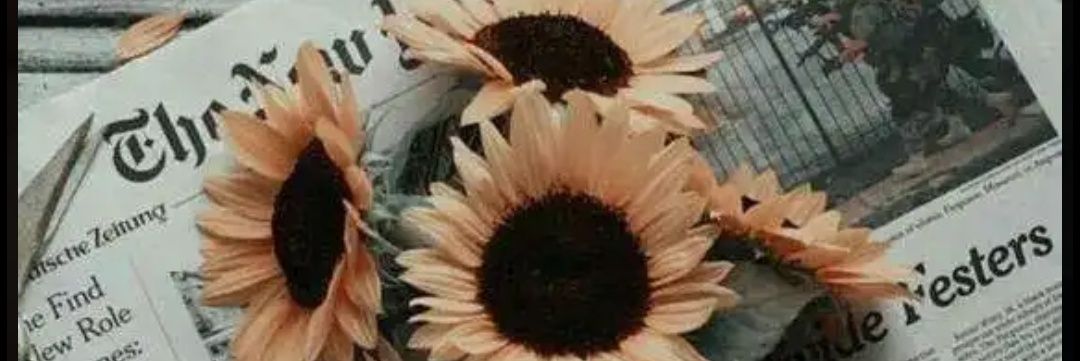 Sofilenarduzzi's profile banner image