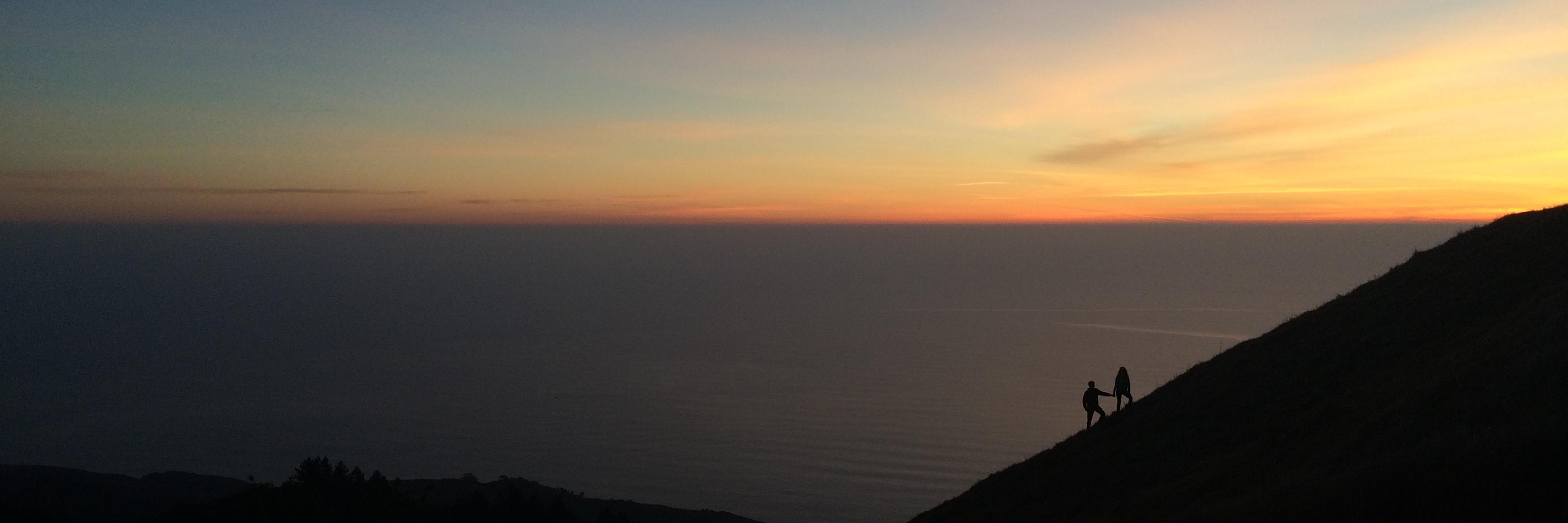 Lisa Pickoff-White banner