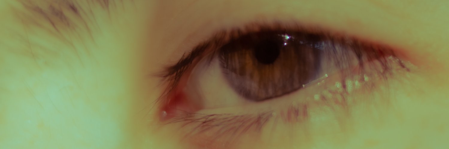 BerniArts banner