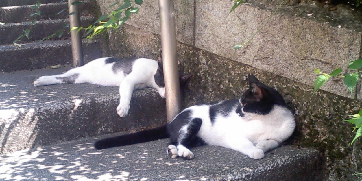 沢渡零一郎 banner