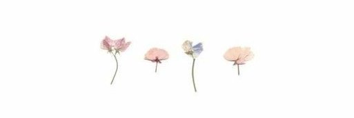 tamaraanabel12's profile banner image