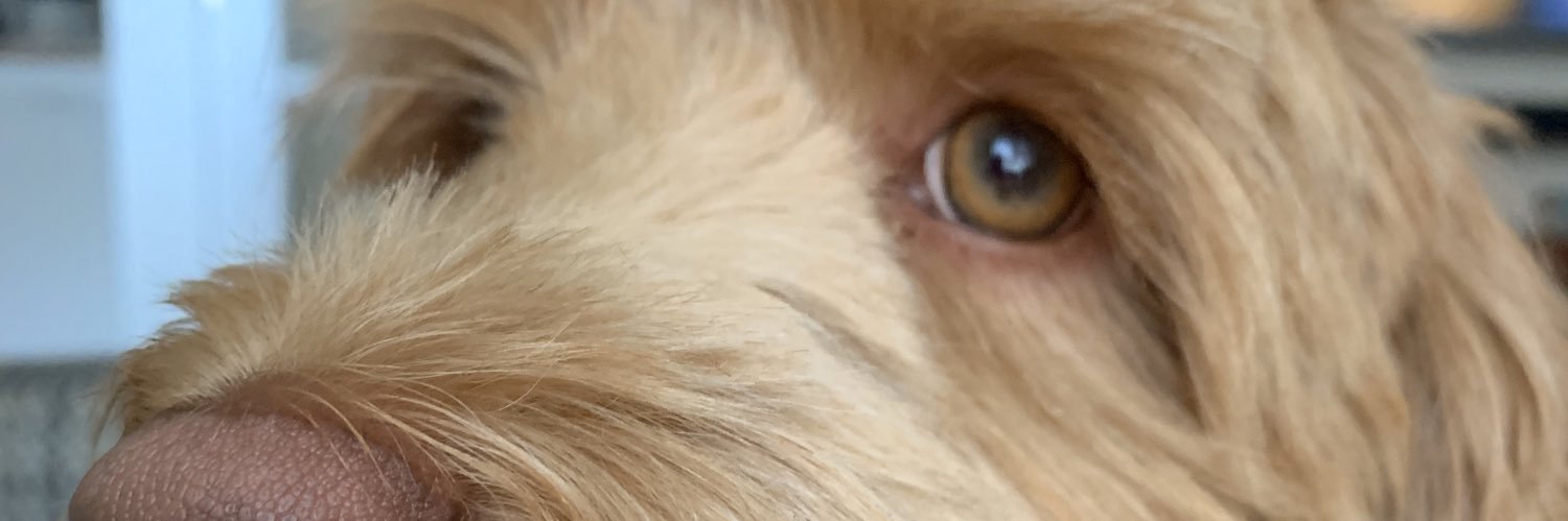 peetee333's profile banner image