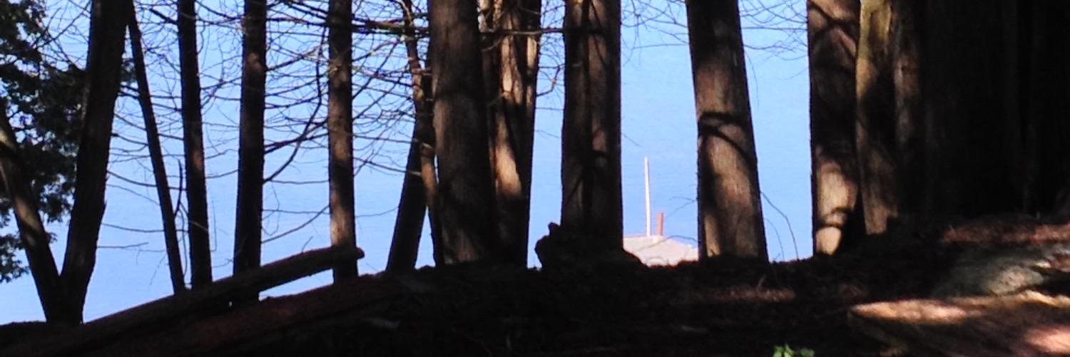 James🇨🇦🇨🇦🇨🇦🇨🇦 banner