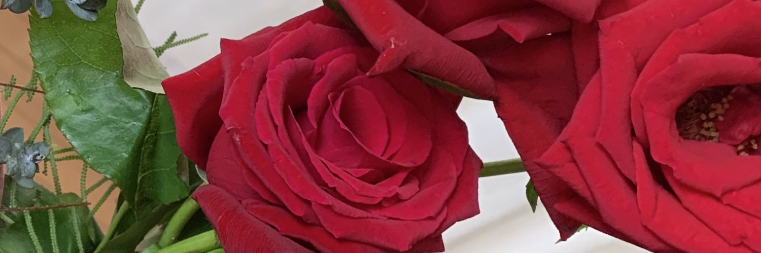pyokomam's profile banner image