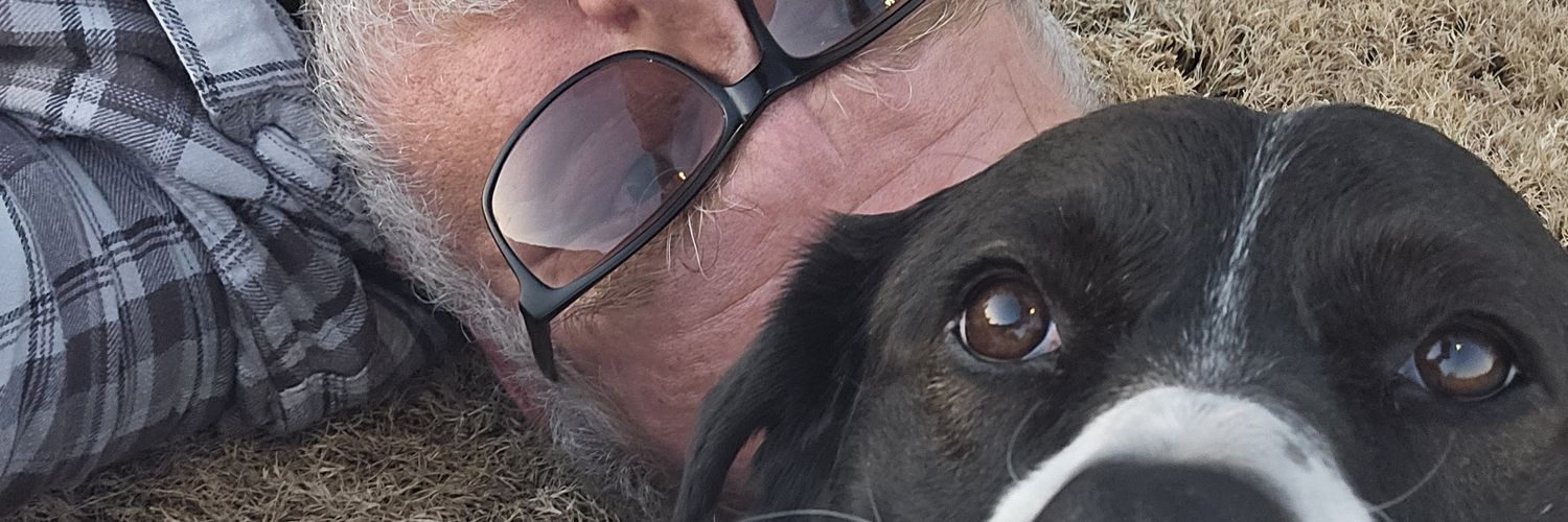 CCBear4's profile banner image