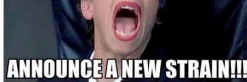 ronan_manly's profile banner image