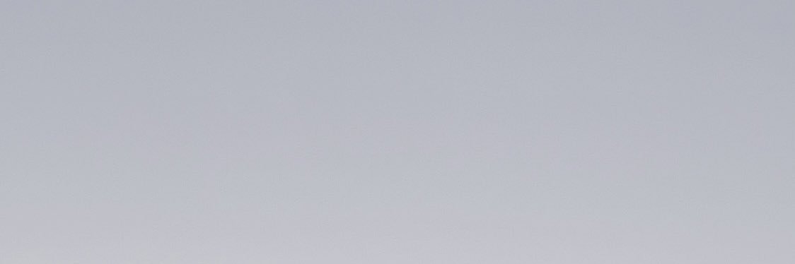 🎗️ banner