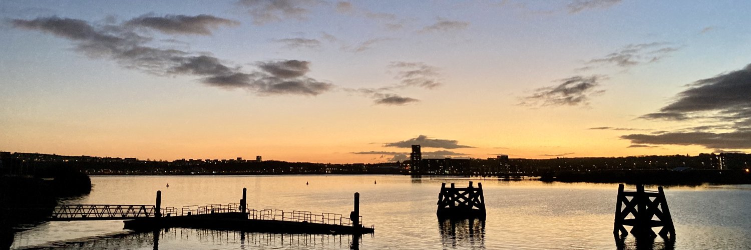 Tilmann Altenberg banner