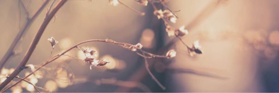 kconnolly16's profile banner image