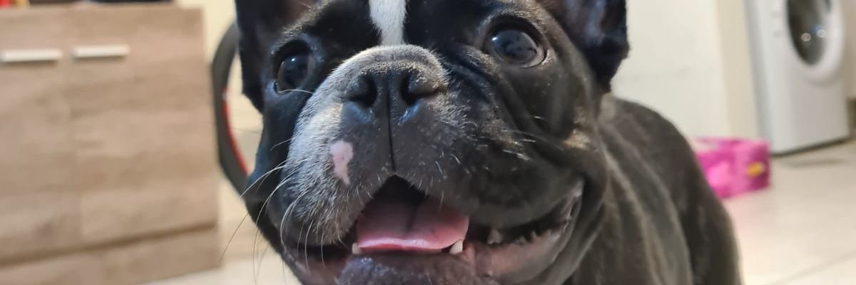 intenseada's profile banner image