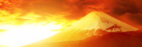 sayuri_forest's profile banner image