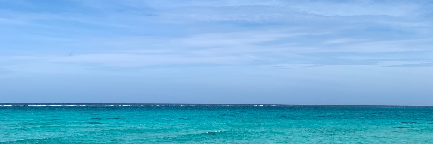 kani613's profile banner image