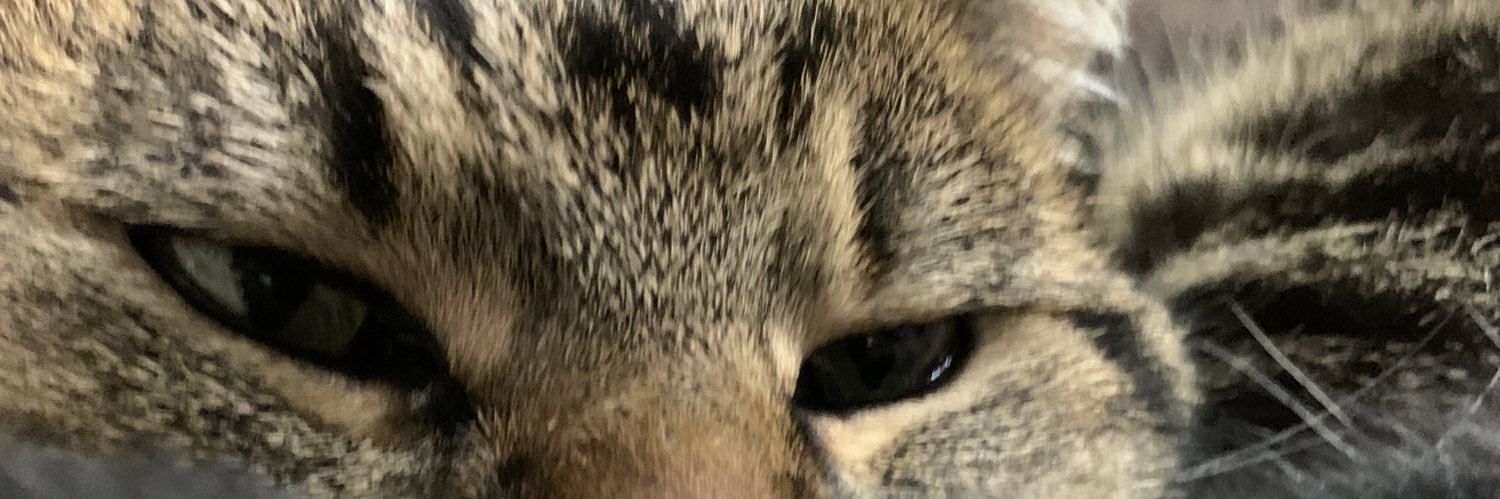 ferminoo21's profile banner image