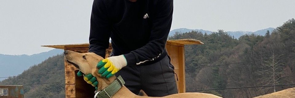 akdk4885's profile banner image