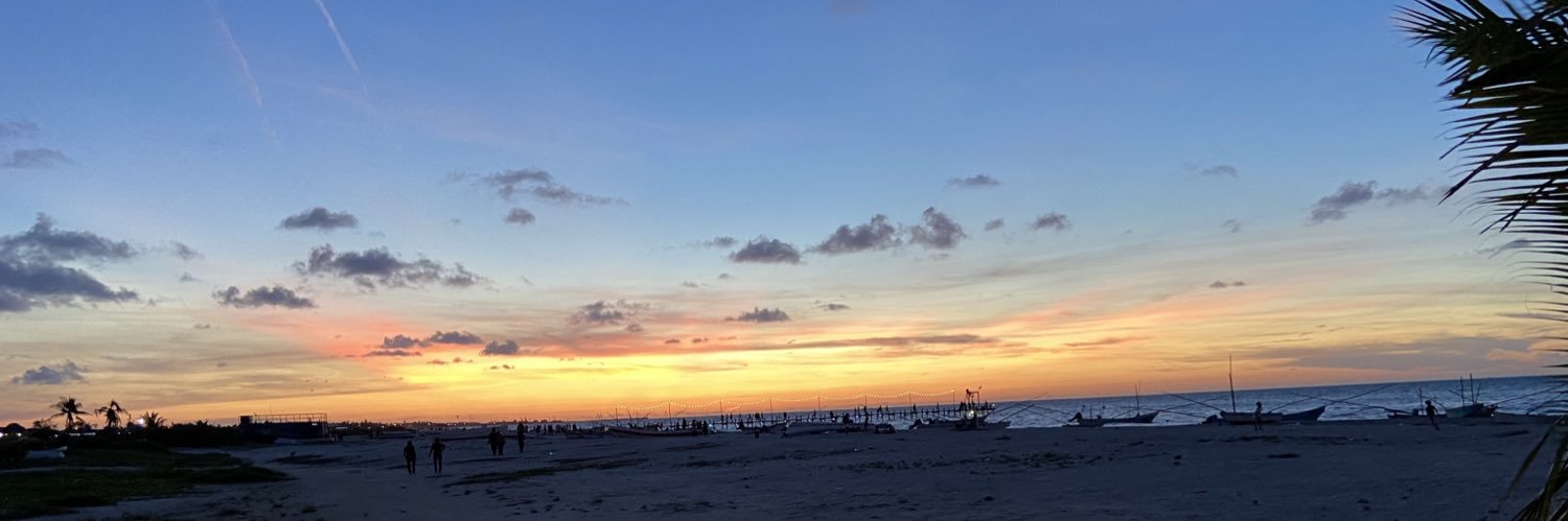 María Fernanda Matus Martínez banner