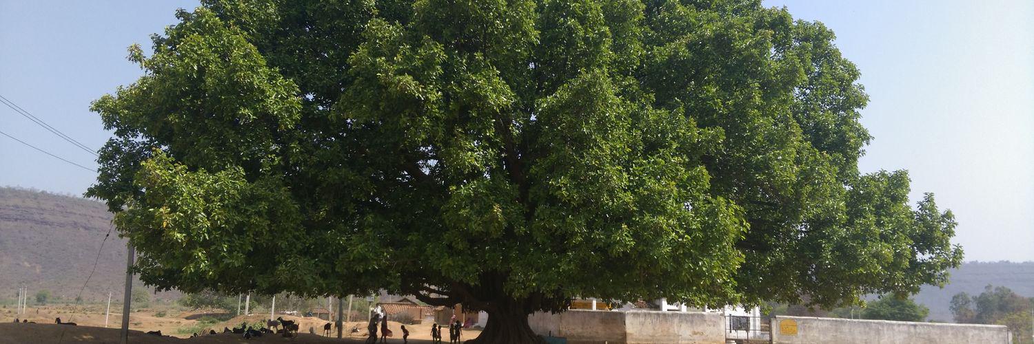 Dr. Deep Narayan Pandey banner