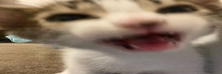 🎸🎧 banner