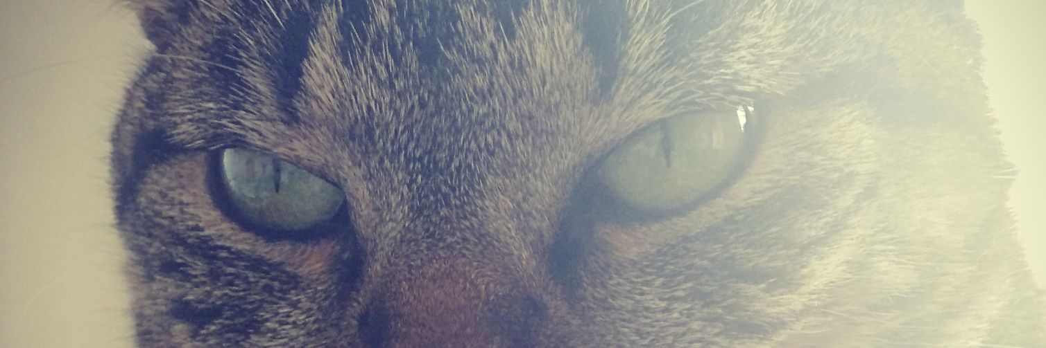 cmherrera's profile banner image