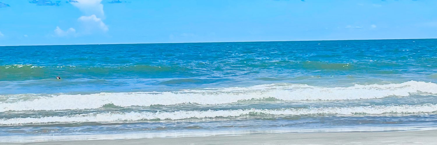 Sean banner