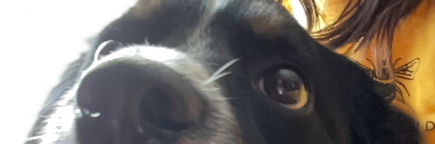 TylerShanks_'s profile banner image