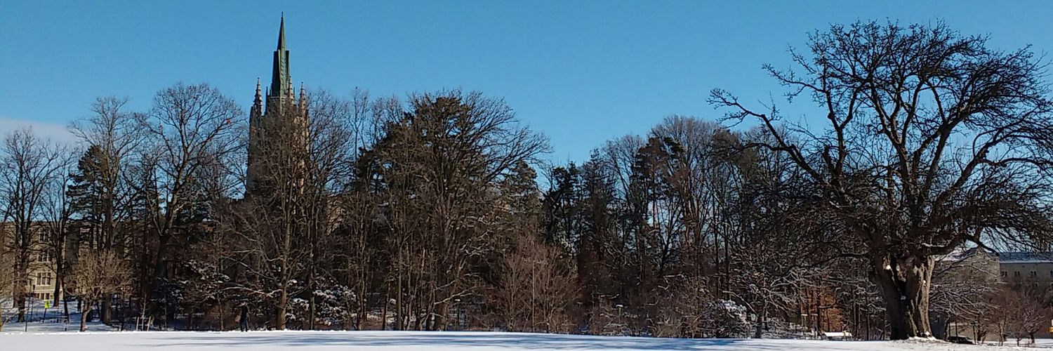 borisantulio's profile banner image