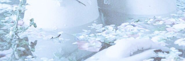 Marfilippi's profile banner image