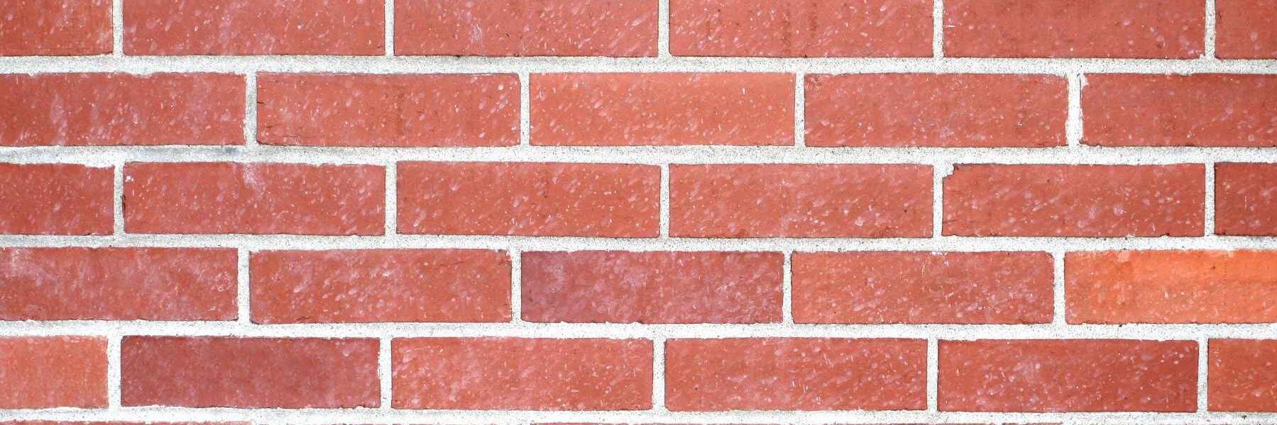 _mollywoodx's profile banner image
