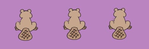 BootyBeaver's profile banner image